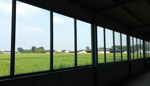 企业入驻服务中需求信息整合的适用场景与限制